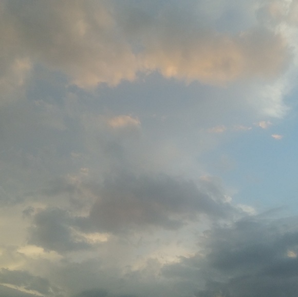 Meet your Posher, Alissa - Picture 1 of 1